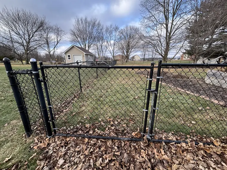 Real visit photo: a closed chain-link yard gate with fallen leaves along the fence.