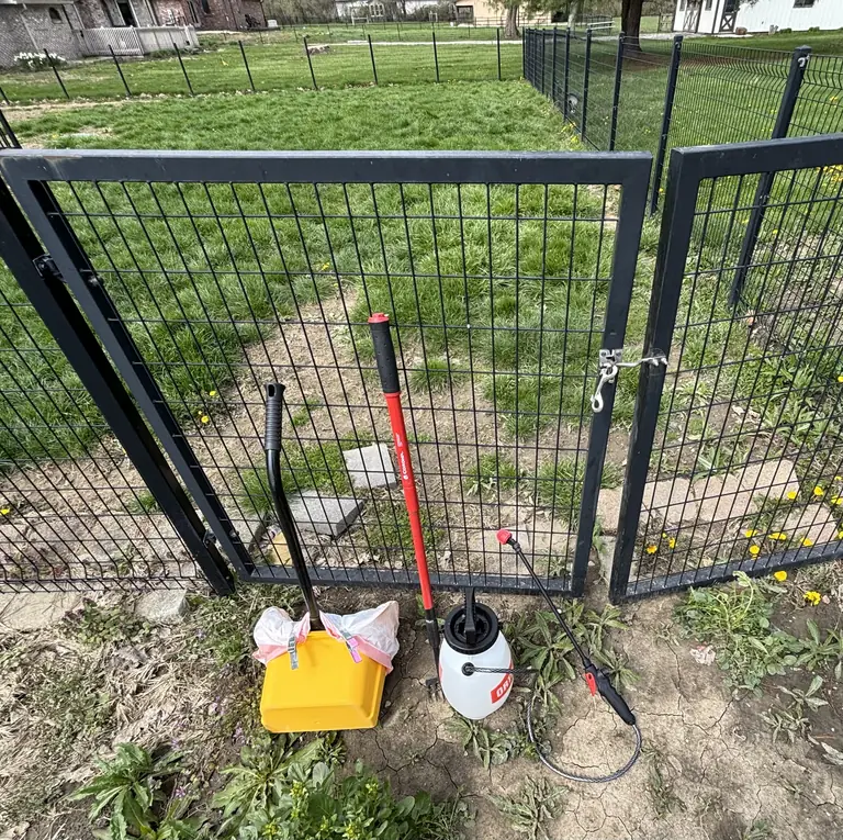 Real visit photo: a closed wire gate with the scooping bin, rake and sanitizing sprayer.